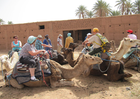 Circuit dans désert Marocain en dromadaires